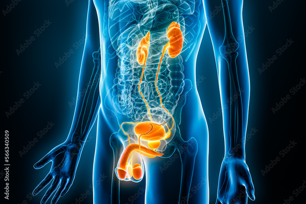 Urology