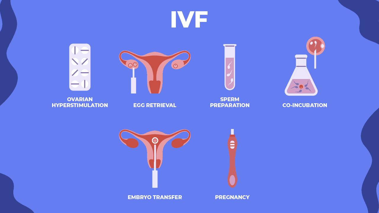 Fertility & IVF