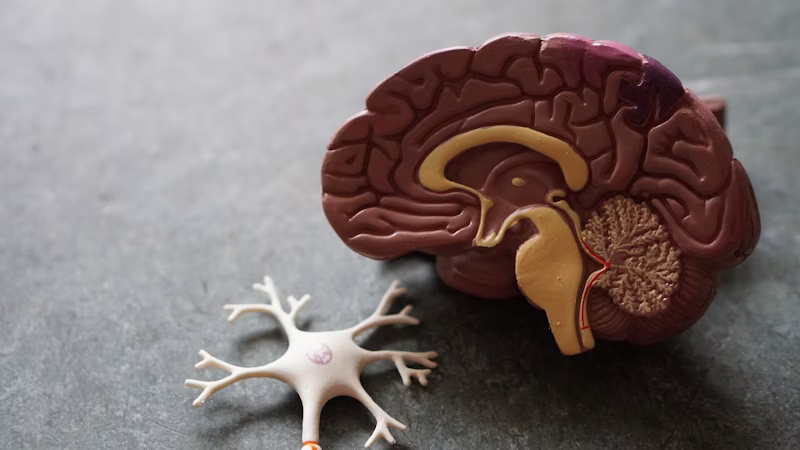 DEEP BRAIN STIMULATION IN OBSESSIVE COMPULSIVE DISORDER
